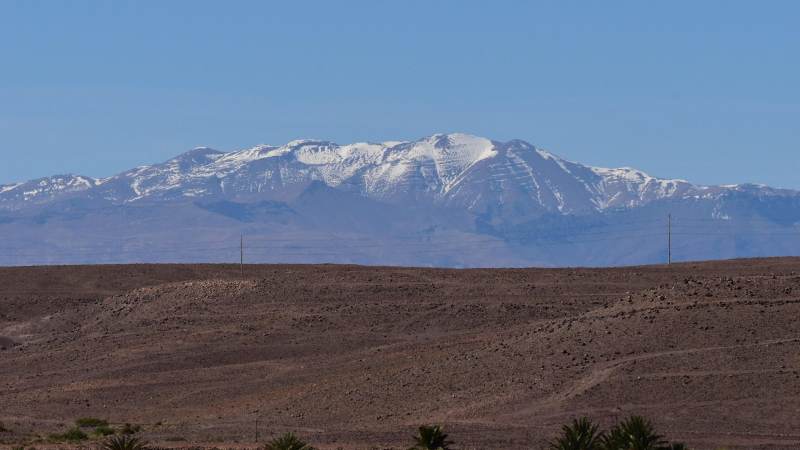 BI报表需求排期为什么总被业务临时需求插队